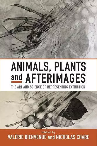 Animals, Plants and Afterimages cover