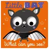 Little Bat What Can You See? cover