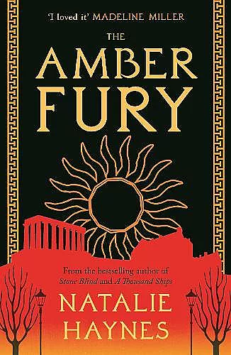 The Amber Fury cover