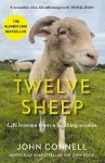 Twelve Sheep cover