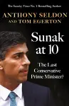 Sunak at 10 cover