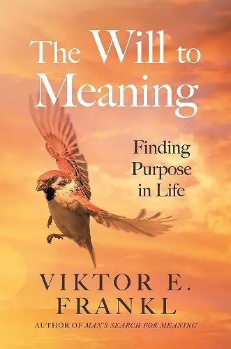 The Will to Meaning cover