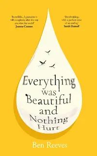 Everything was Beautiful and Nothing Hurt cover