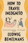 How To Travel Incognito cover
