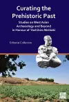 Curating the Prehistoric Past cover