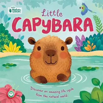 Little Capybara: Little Nature Stories cover