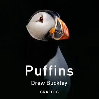 Puffins cover