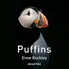 Puffins cover