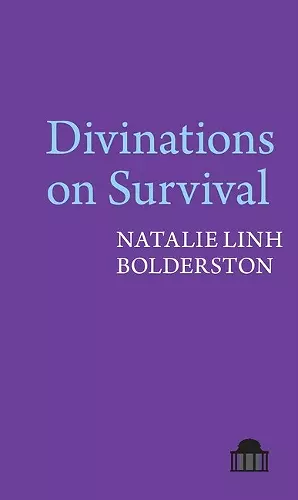 Divinations on Survival cover