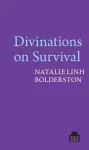 Divinations on Survival cover