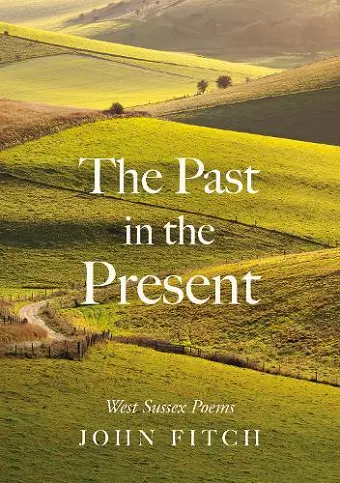 The Past in the Present cover
