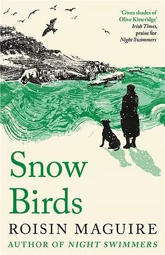 Snow Birds cover