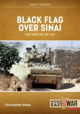 Black Flag over Sinai cover