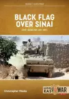 Black Flag over Sinai cover