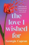 The Love I Wished For cover