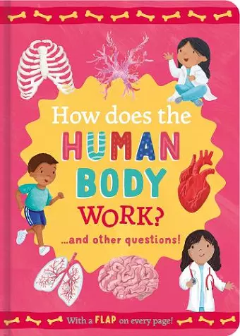 How Does the Human Body Work? cover