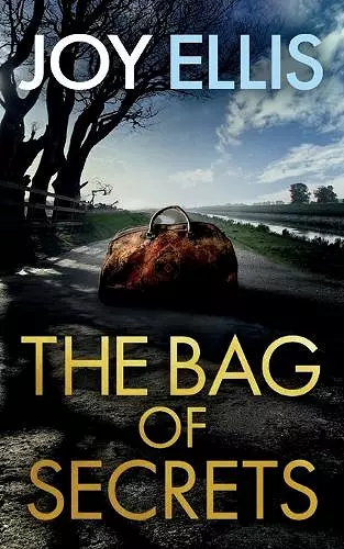 THE BAG OF SECRETS a gripping crime thriller with a huge twist cover