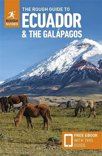 The Rough Guide to Ecuador and the Galapagos: Travel Guide with eBook cover