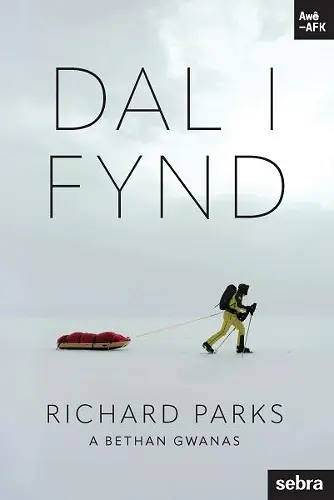 Stori Sydyn: Dal i Fynd cover