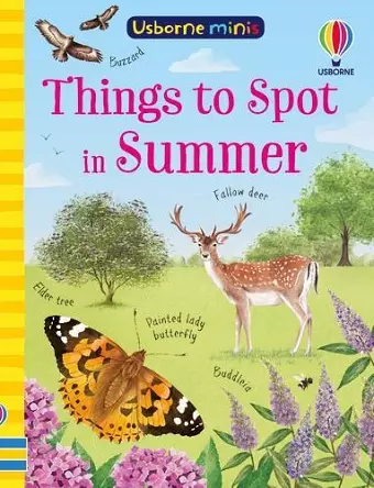 Things to Spot in Summer cover