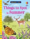 Things to Spot in Summer cover