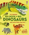 Big Book of Big Dinosaurs cover