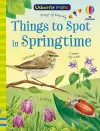 Things to Spot in Springtime cover