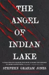 The Angel of Indian Lake cover