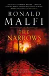 The Narrows cover