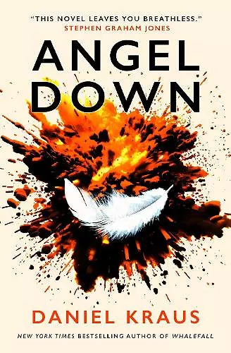 Angel Down cover