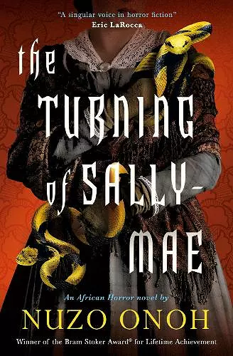 The Turning of Sally-Mae cover