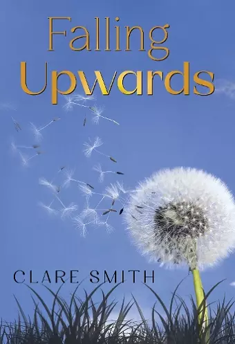 Falling Upwards cover