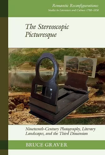 The Stereoscopic Picturesque cover