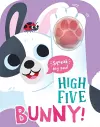 High Five Bunny! A count-and-squeak book. cover