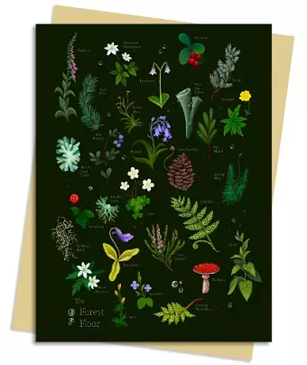 Anna Stead Forest Floor Greeting Card Pack cover