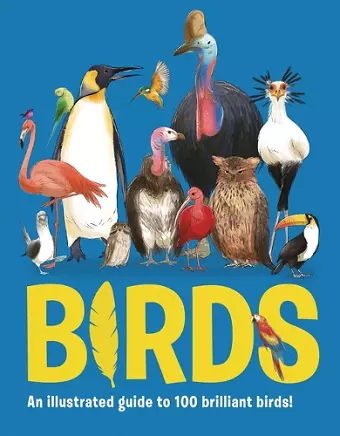 100 Brilliant Birds! cover