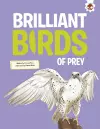Brilliant Birds of Prey cover