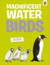 Magnificent Water Birds cover