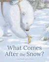 What Comes After the Snow? cover