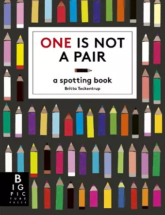 One is Not a Pair cover