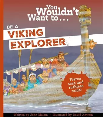 You Wouldn't Want To Be A Viking Explorer cover