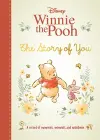 Disney Winnie the Pooh The Story of You cover