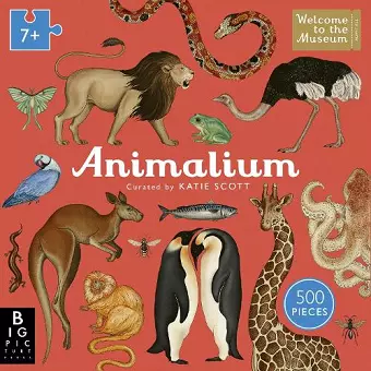 Animalium 500-Piece Jigsaw Puzzle cover