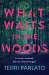 What Waits in The Woods cover