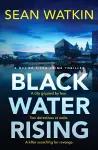 Black Water Rising cover
