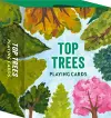 Top Trees cover