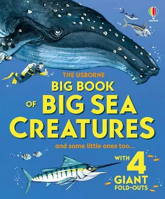 Big Book of Big Sea Creatures cover