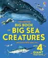 Big Book of Big Sea Creatures cover