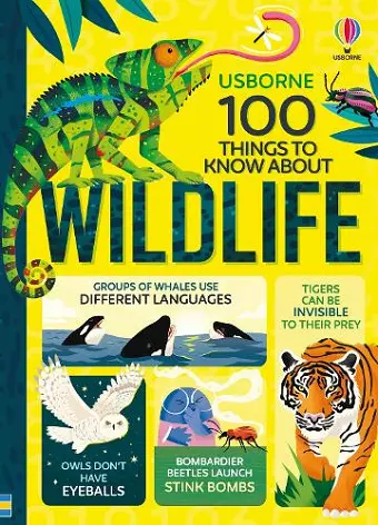 100 Things to Know About Wildlife cover