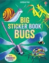 Big Sticker Book Bugs cover